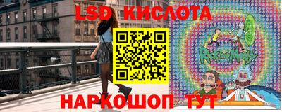 шишки Можга