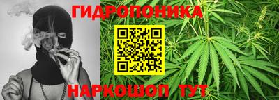 шишки Можга