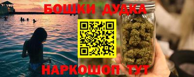шишки Можга