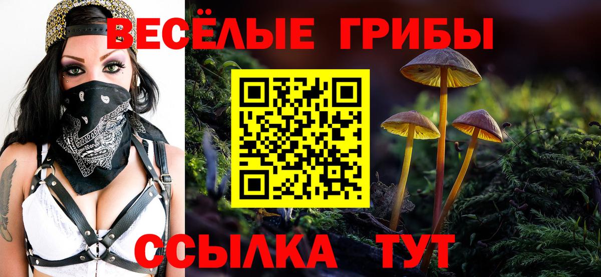 Псилоцибиновые грибы GOLDEN TEACHER  Вход с VPN  Галлюциногенные грибы Psilocybine cubensis  Урюпинск 