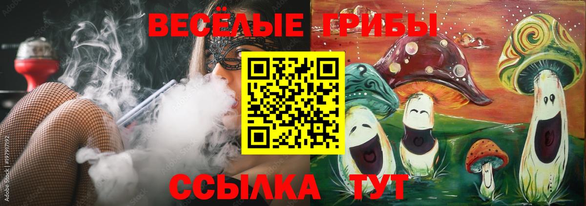Галлюциногенные грибы Cubensis Урюпинск